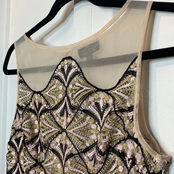 Topshop | Embroidered Lace Dress - Pink Cream Sage Green Blacks - US6 - Mesh upp - Picture 5 of 9